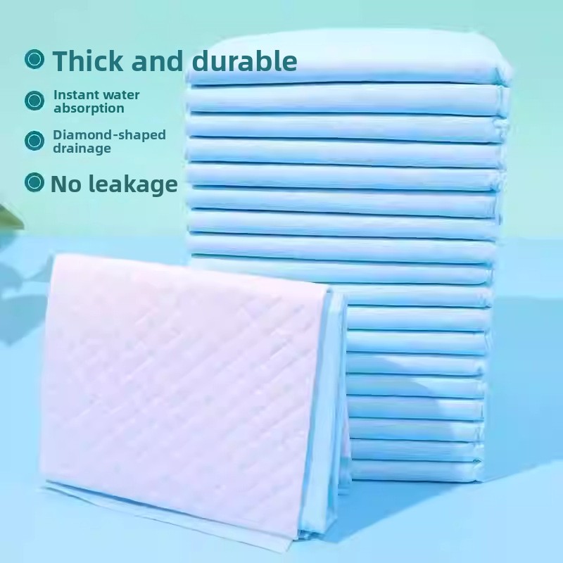 Pet Supplies For Dogs - Thiened Pet Urinal Mat Dog Training