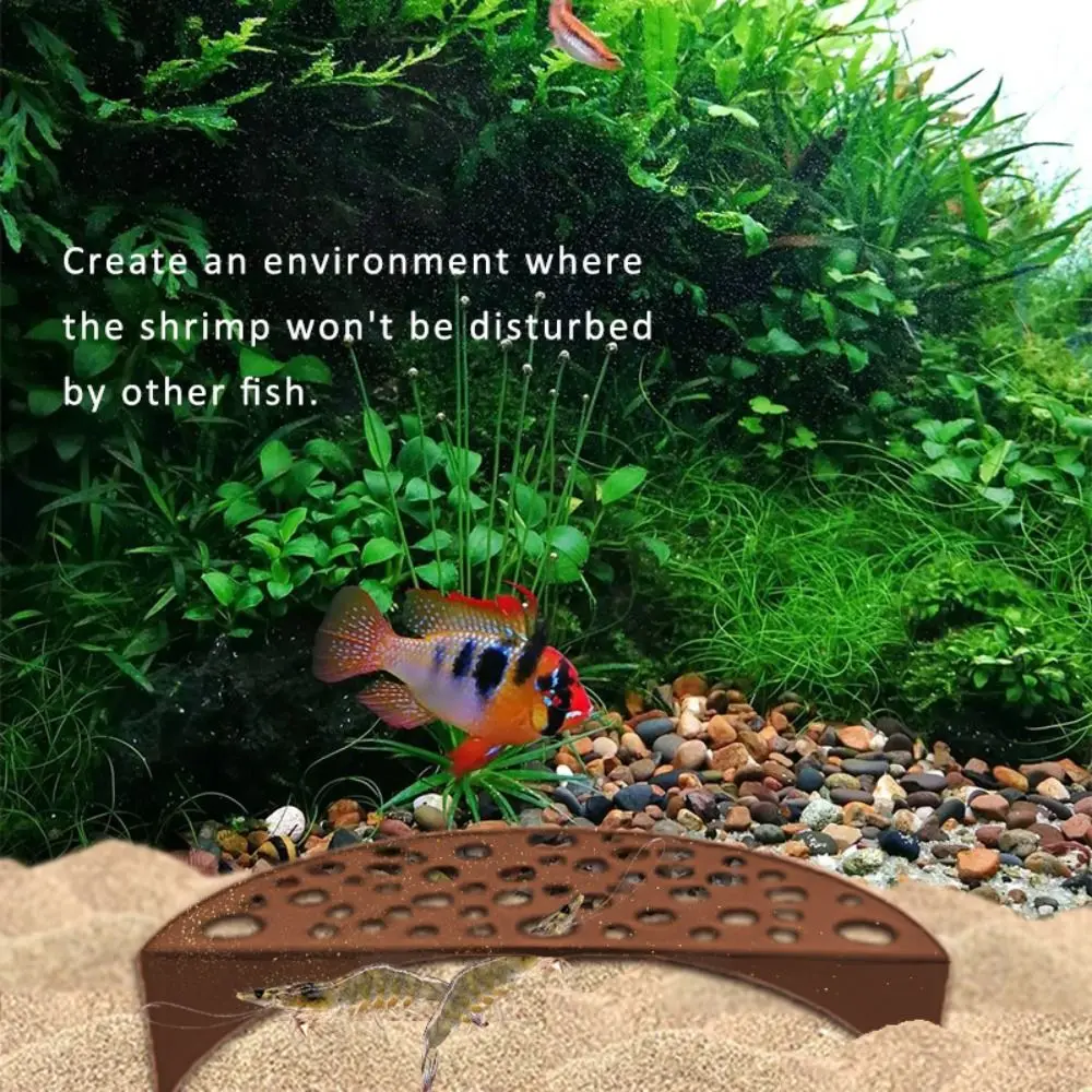 Plastic Aquarium Shelter House - Pet Supplies Fish recensione e prezzo