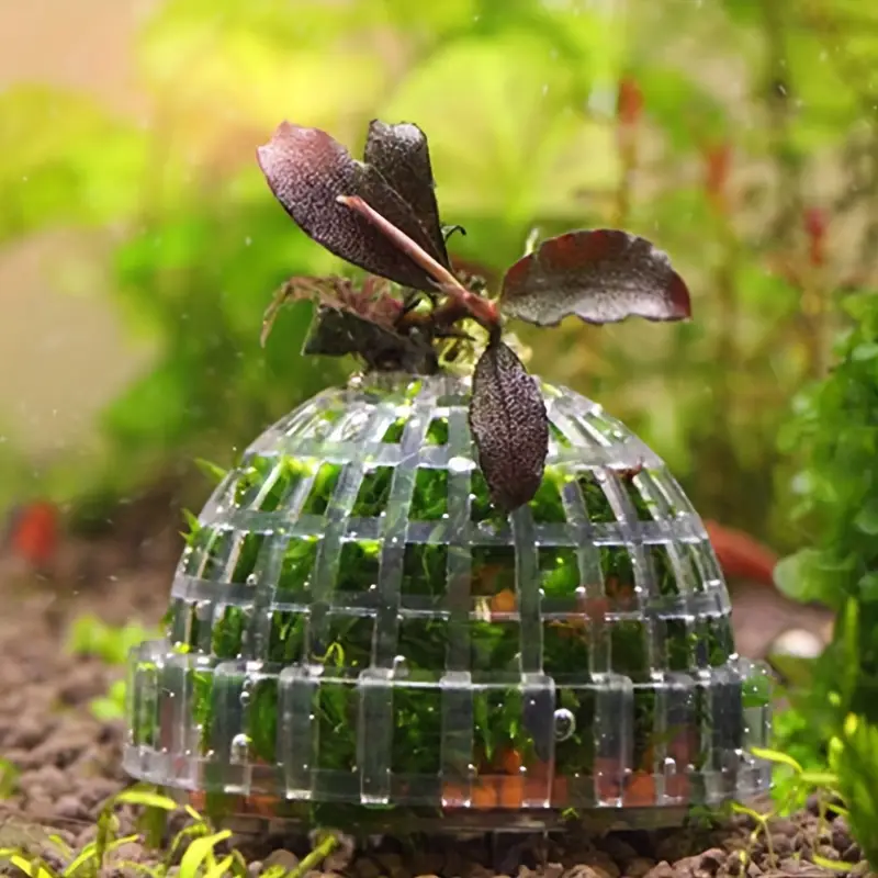 Plastic Aquarium Moss Ball Fil - Pet Supplies Fish recensione e prezzo