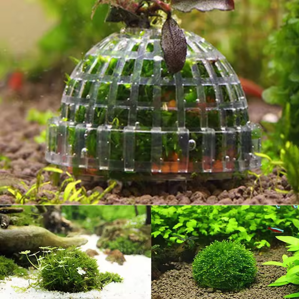 Plastic Aquarium Moss Ball Fil - Pet Supplies Fish recensione e prezzo