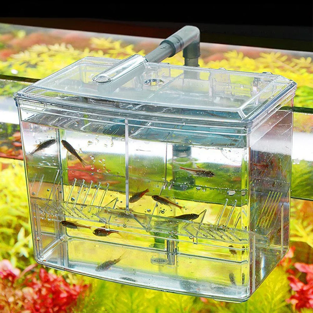 Aquarium Fish Breeding Box for - Pet Supplies Fish recensione e prezzo