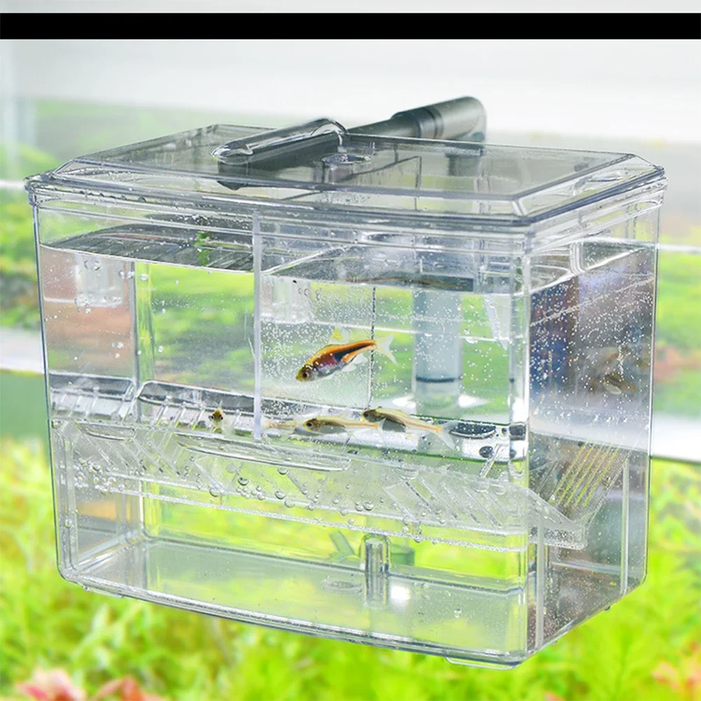 Aquarium Fish Breeding Box for - Pet Supplies Fish recensione e prezzo