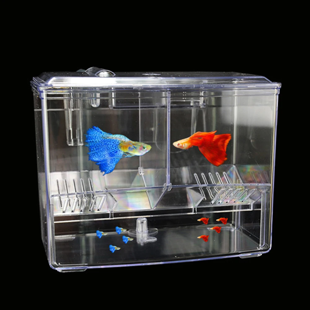 Aquarium Fish Breeding Box for - Pet Supplies Fish recensione e prezzo