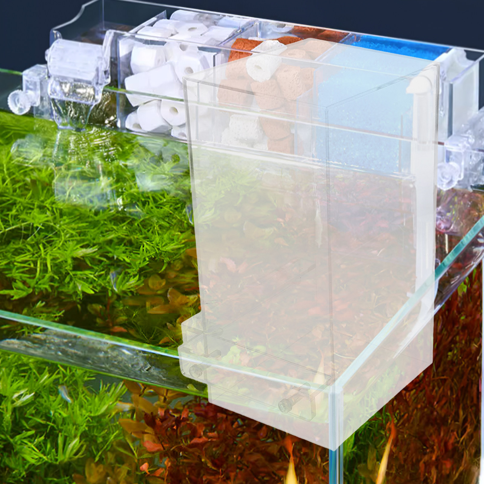 Fish Elevator For Betta Living - Pet Supplies Fish recensione e prezzo