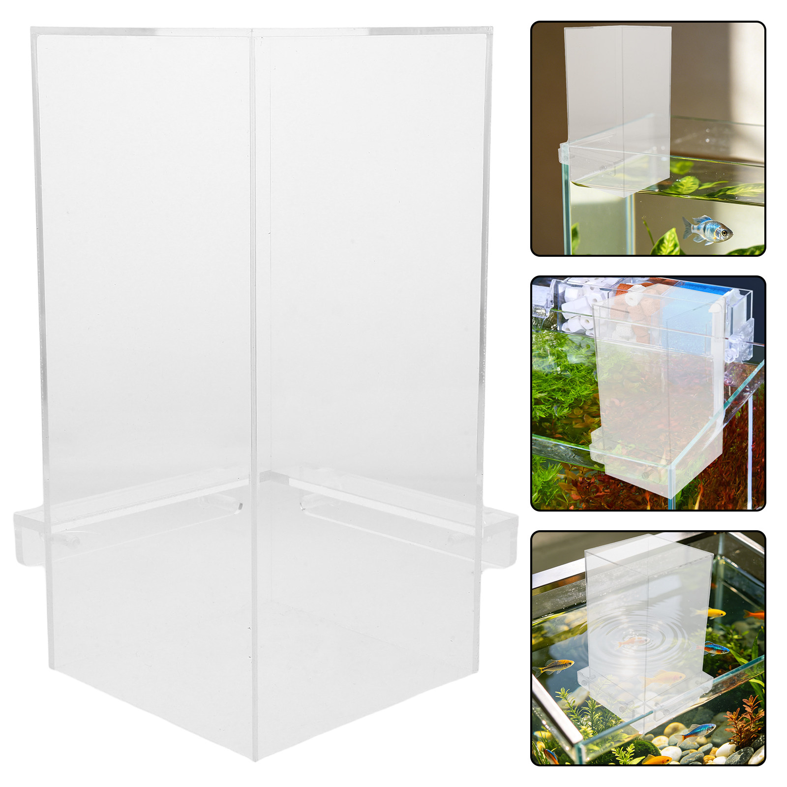 Fish Elevator For Betta Living - Pet Supplies Fish recensione e prezzo