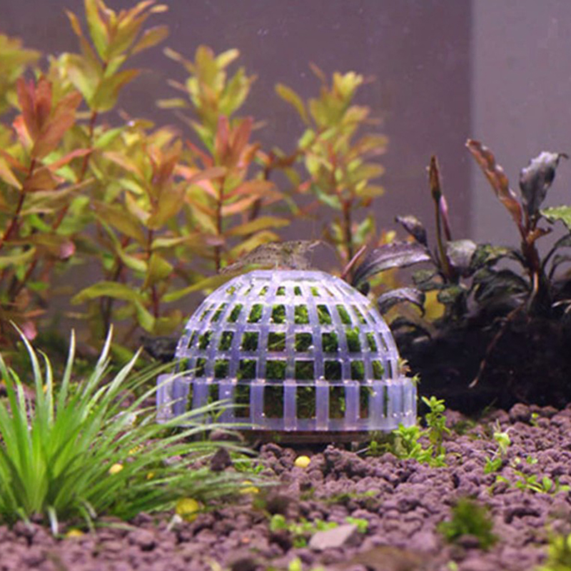 1pc Plastic Aquarium Moss Ball - Pet Supplies Fish recensione e prezzo