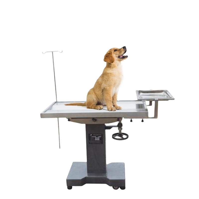 Pet Animals Medical Operation  - Pet Supplies Vet recensione e prezzo