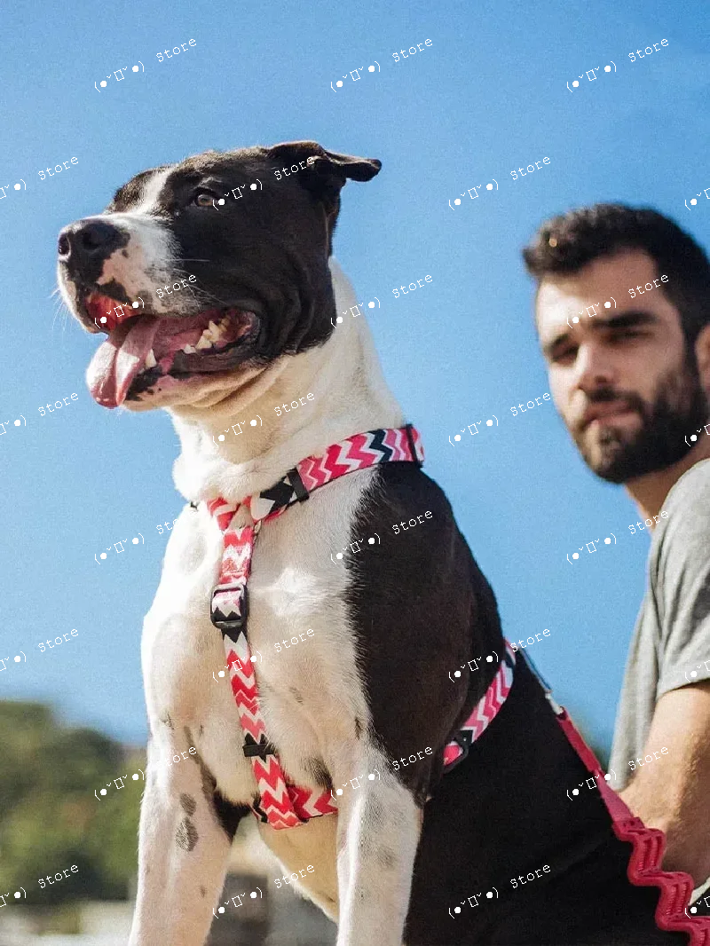 explosion-proof medium and lar - Pet Supplies For Dogs recensione e prezzo