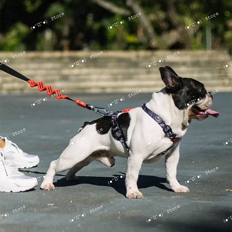 explosion-proof medium and lar - Pet Supplies For Dogs recensione e prezzo