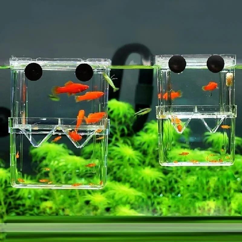 Transparent Fish Aquarium High - Pet Supplies Fish recensione e prezzo