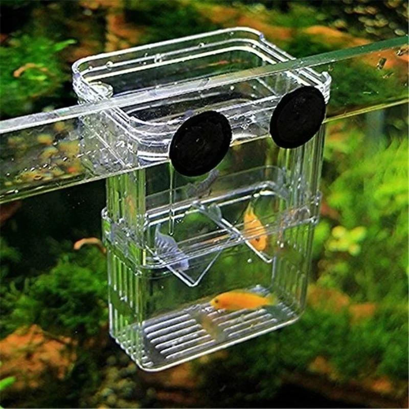 Transparent Fish Aquarium High - Pet Supplies Fish recensione e prezzo