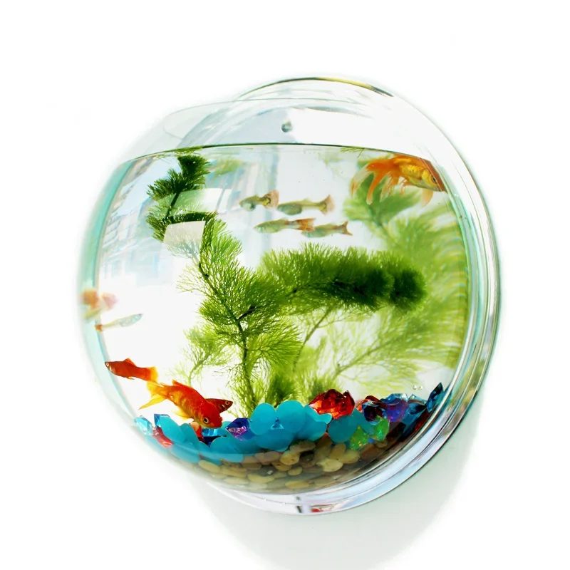 Pinsjar Acrylic Fish Bowl Wall - Pet Supplies Fish recensione e prezzo