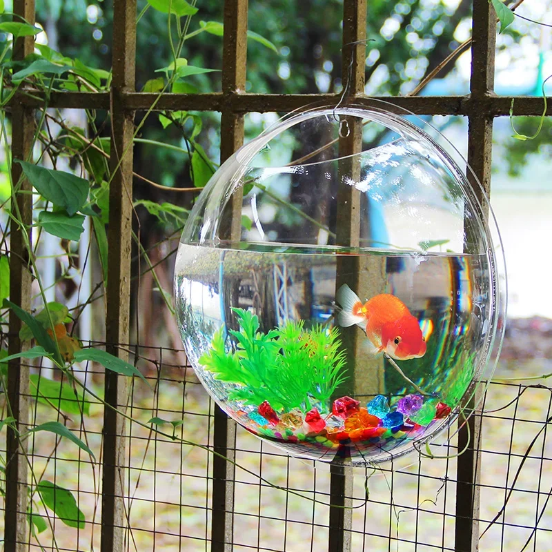 Pinsjar Acrylic Fish Bowl Wall - Pet Supplies Fish recensione e prezzo