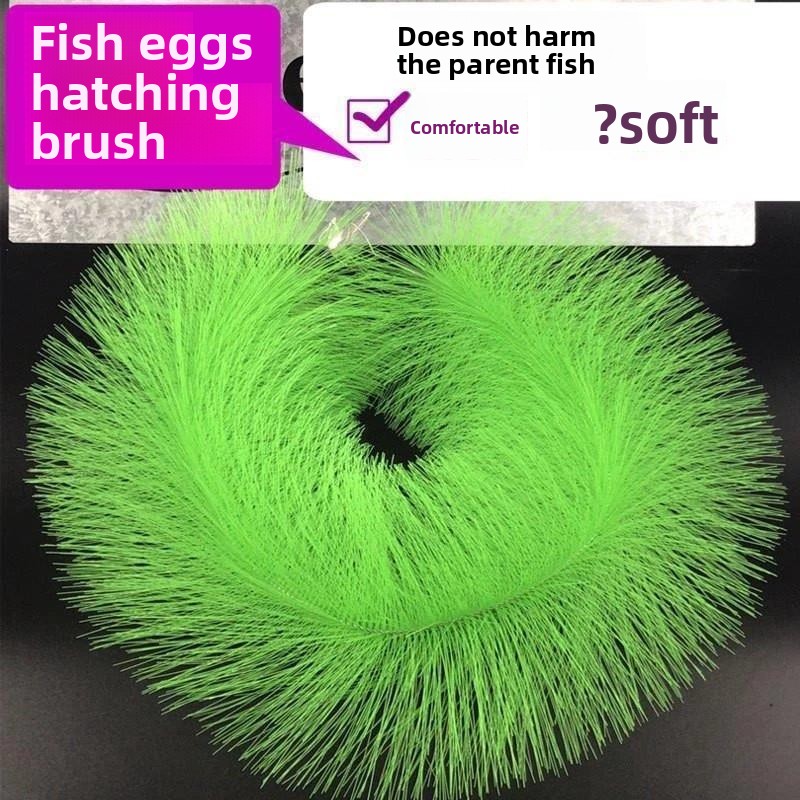Breeding Grass for Koi Fish Eg - Pet Supplies Fish recensione e prezzo