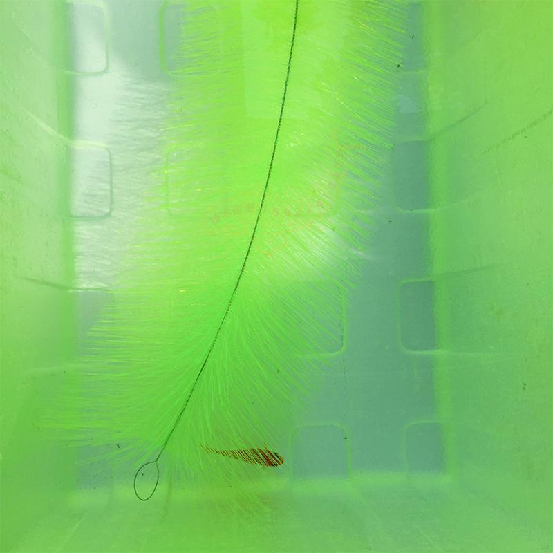 Breeding Grass for Koi Fish Eg - Pet Supplies Fish recensione e prezzo