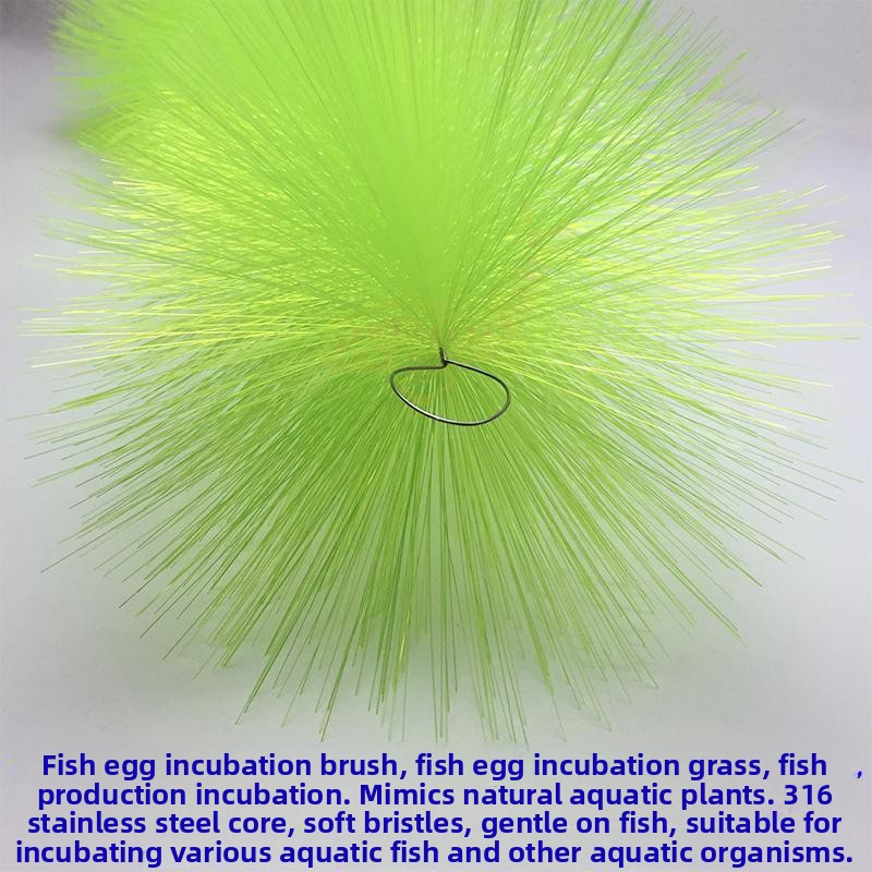Breeding Grass for Koi Fish Eg - Pet Supplies Fish recensione e prezzo