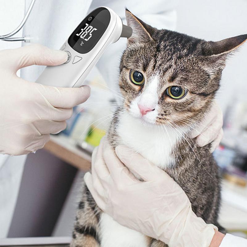 Pet Thermometers For Dogs Vet  - Pet Supplies Vet recensione e prezzo