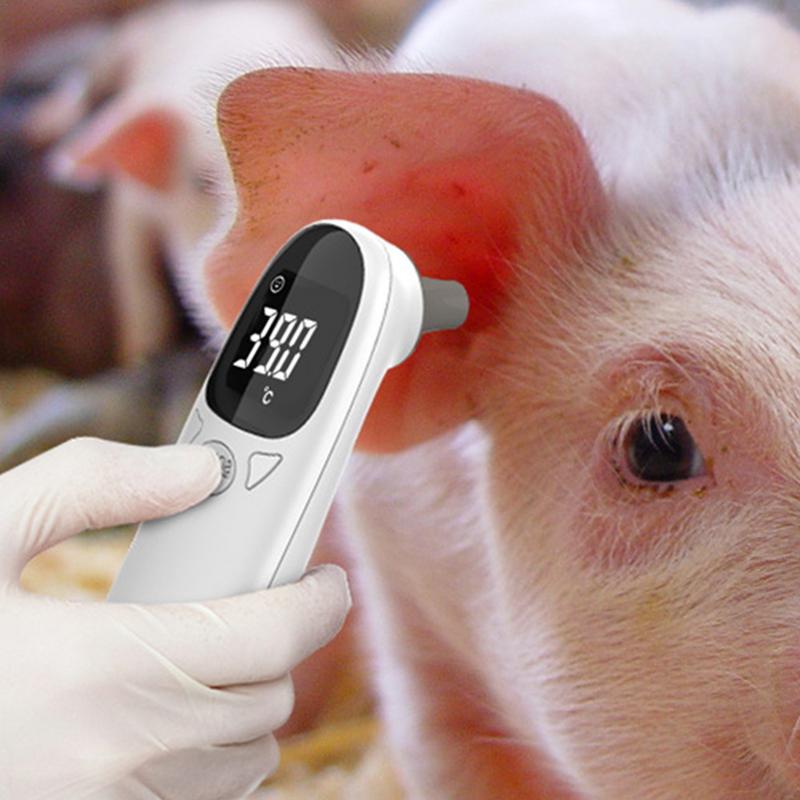 Pet Thermometers For Dogs Vet  - Pet Supplies Vet recensione e prezzo