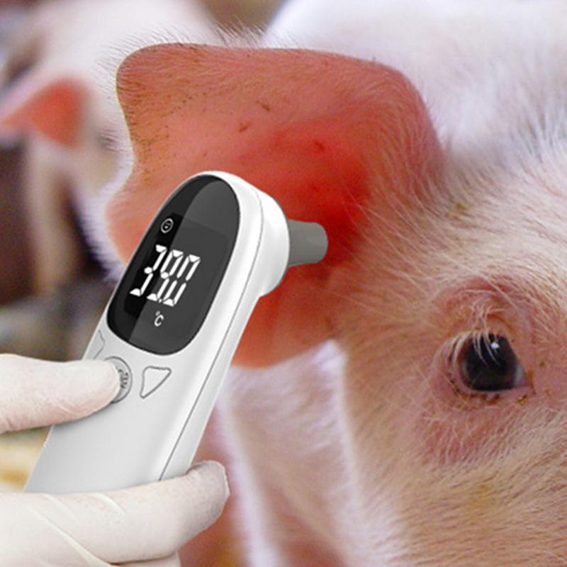Pet Thermometers For Dogs Vet  - Pet Supplies Vet recensione e prezzo
