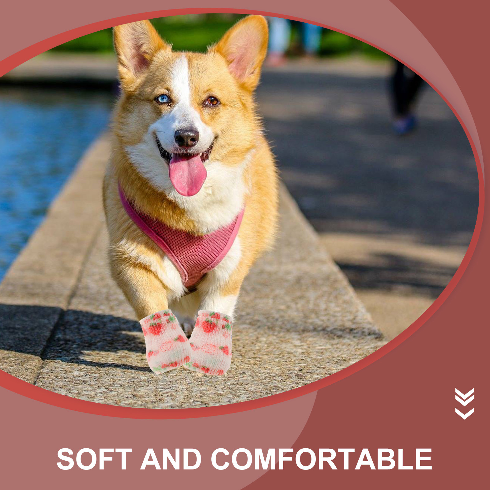 3 Tape Outdoor Elastic Pet Ban - Pet Supplies Vet recensione e prezzo