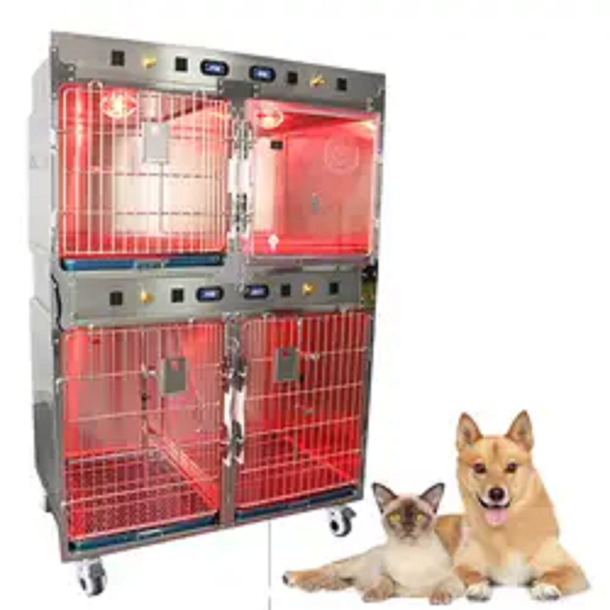 Pet Care Best Selling Cage Cat - Pet Supplies Vet recensione e prezzo
