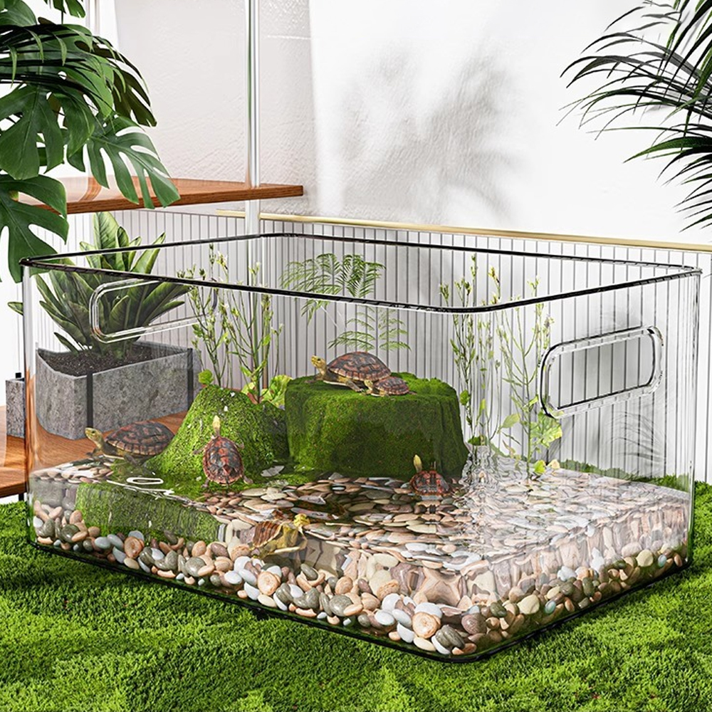 1 PC Transparent Aquatic Terre - Pet Supplies Fish recensione e prezzo