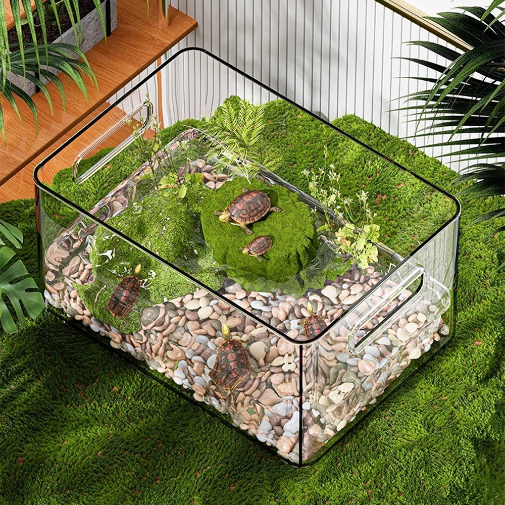 1 PC Transparent Aquatic Terre - Pet Supplies Fish recensione e prezzo