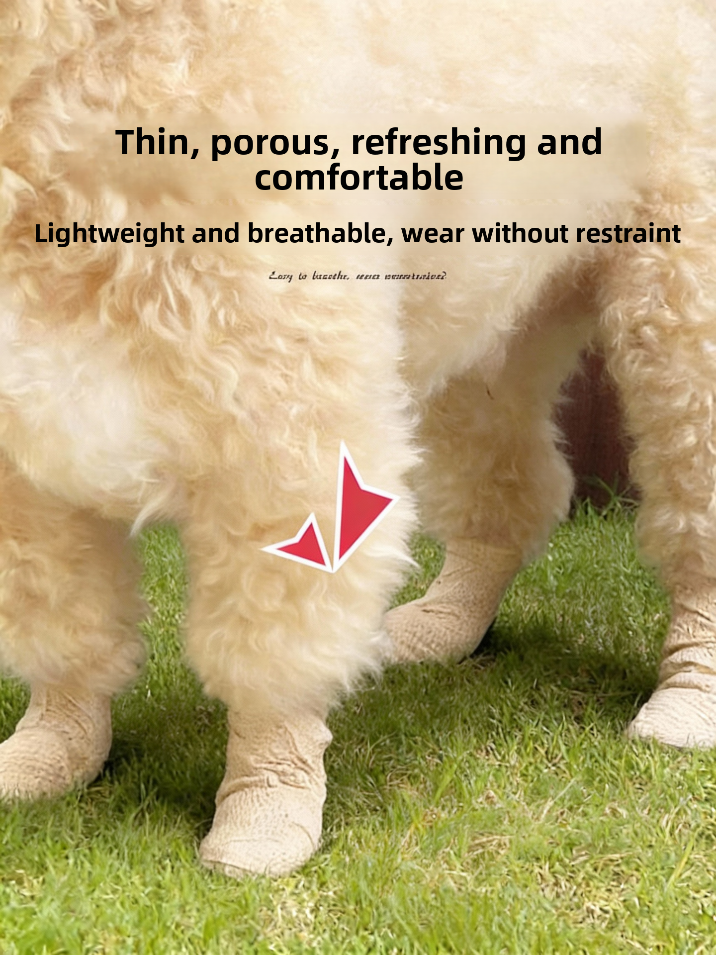Anti-Slip Dog Foot Covers Disp - Pet Supplies For Dogs recensione e prezzo