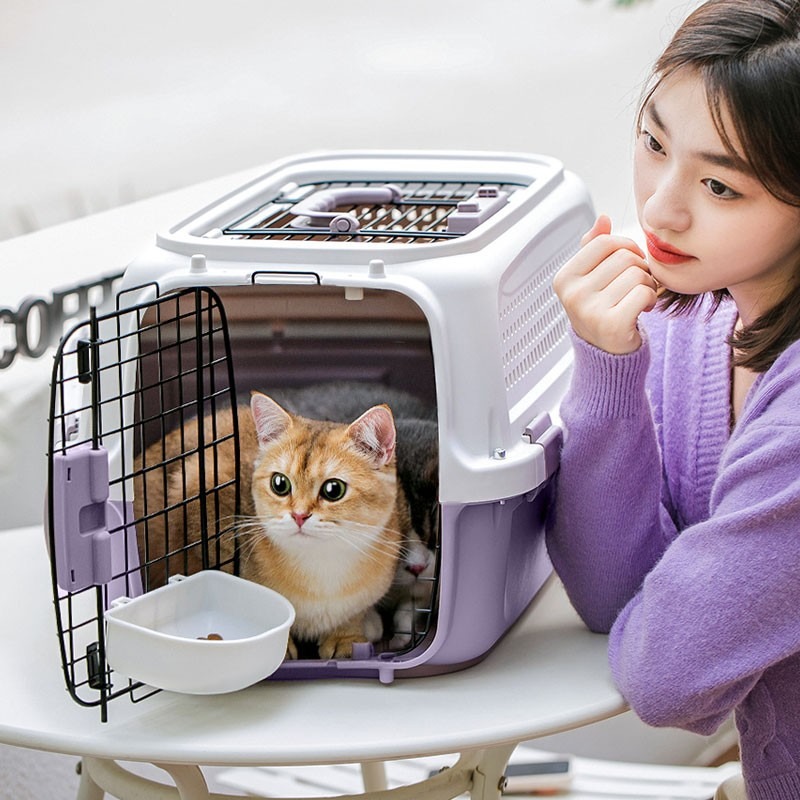 Portable Cat Cage & Dog Car Tr - Pet Supplies For Dogs recensione e prezzo