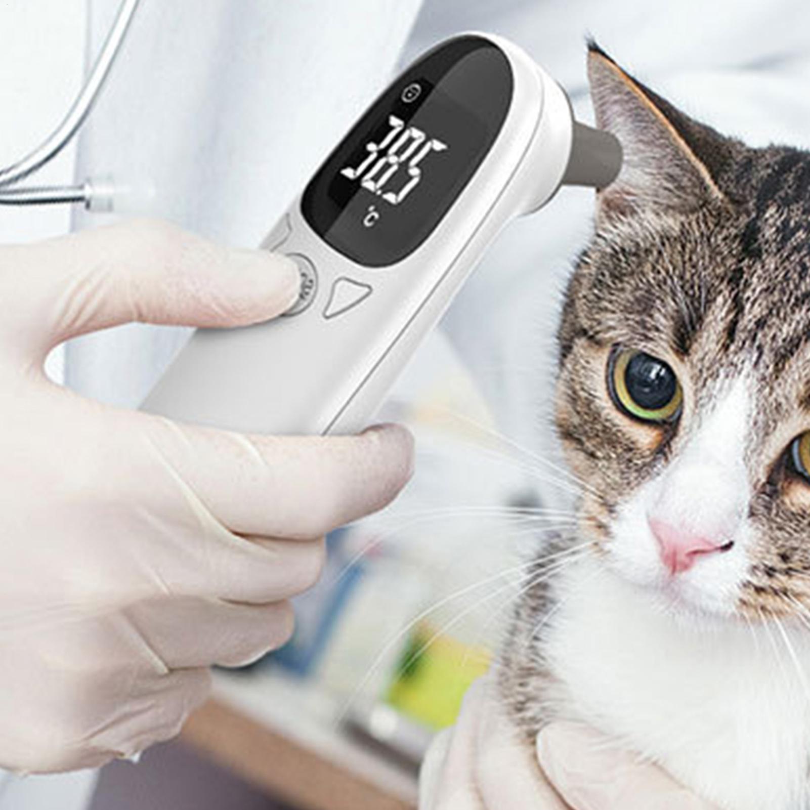 Dog Cat Ear Thermometer Medica - Pet Supplies Vet recensione e prezzo