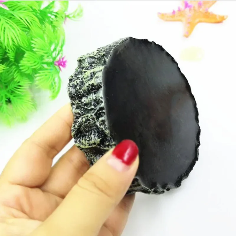 Pet Reptile Feeder Bowl Resin  - Pet Supplies Fish recensione e prezzo