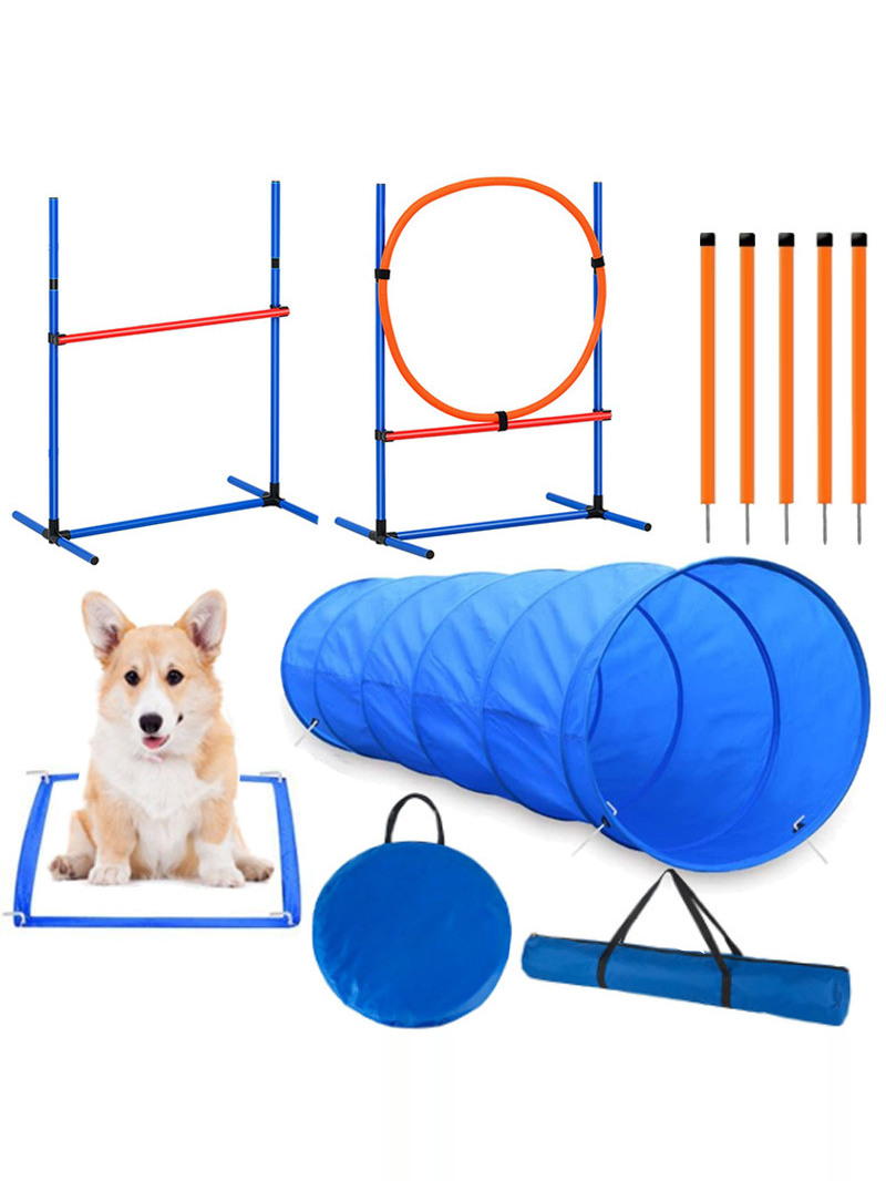 Dog Obstacle Training Competit - Pet Supplies For Dogs recensione e prezzo