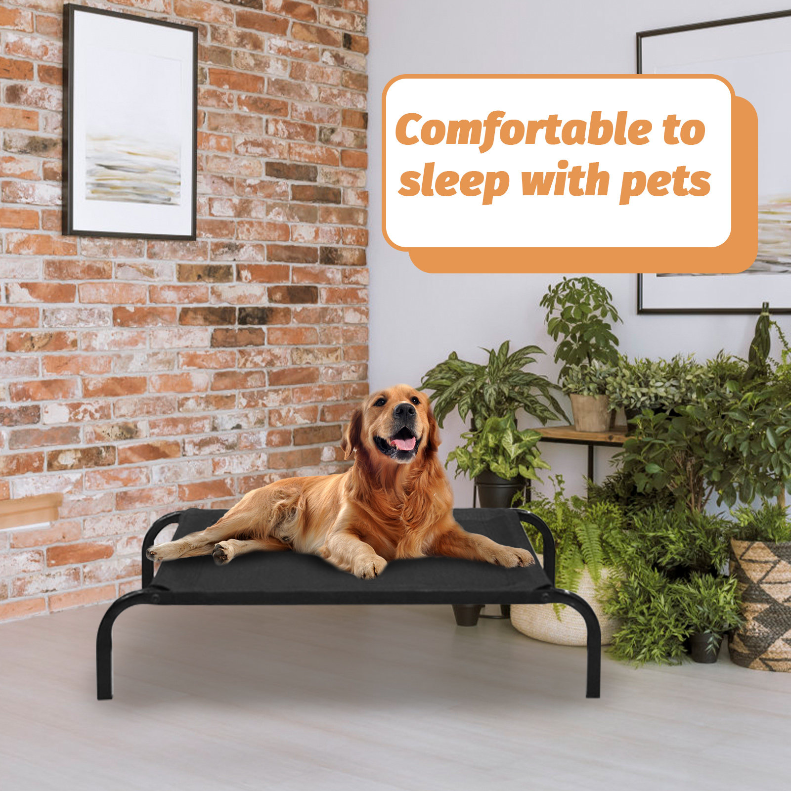 Pet Cot Dog Bed Mesh Breathabl - Pet Supplies For Dogs recensione e prezzo