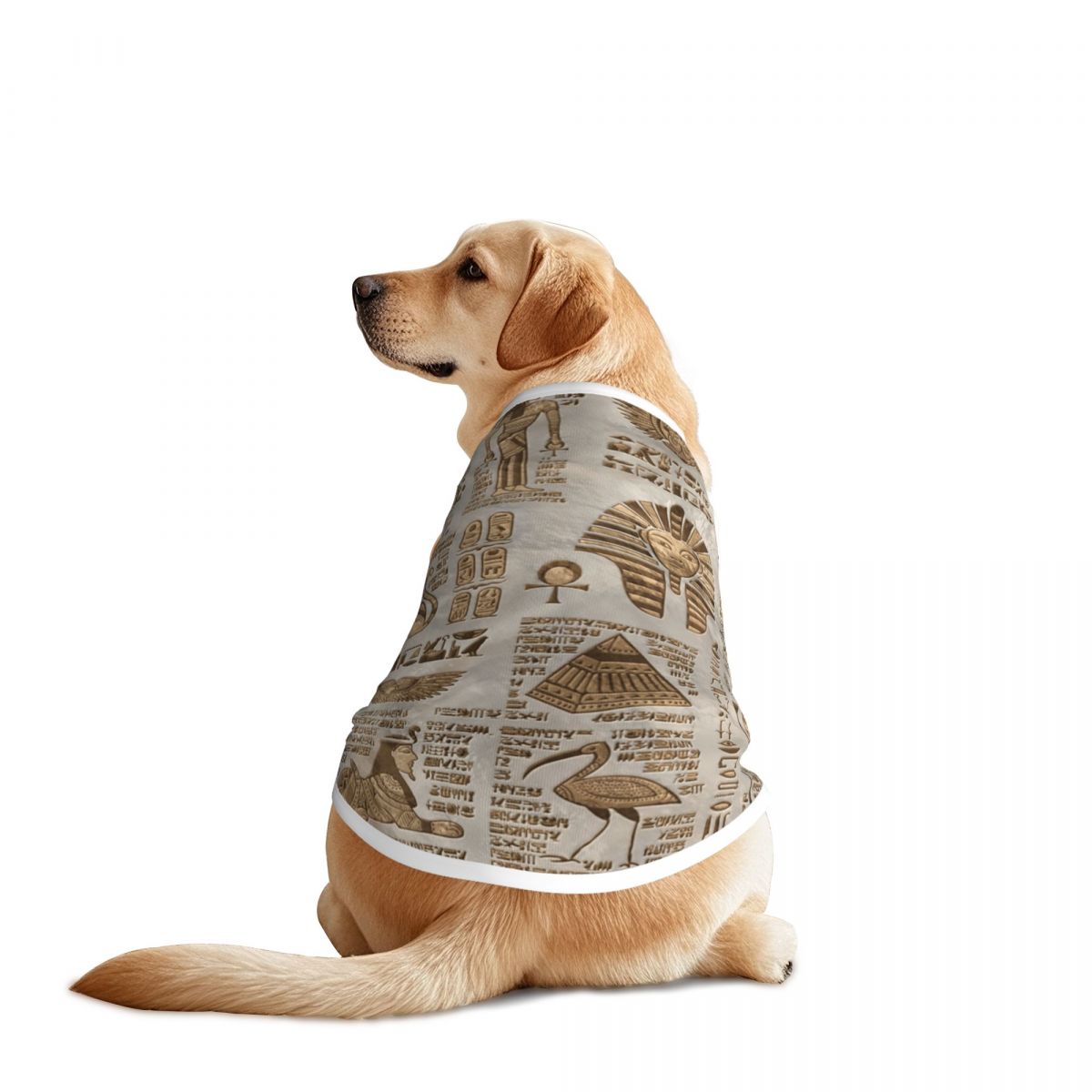 Egyptian Hieroglyphs And Deiti - Pet Supplies Egypt recensione e prezzo