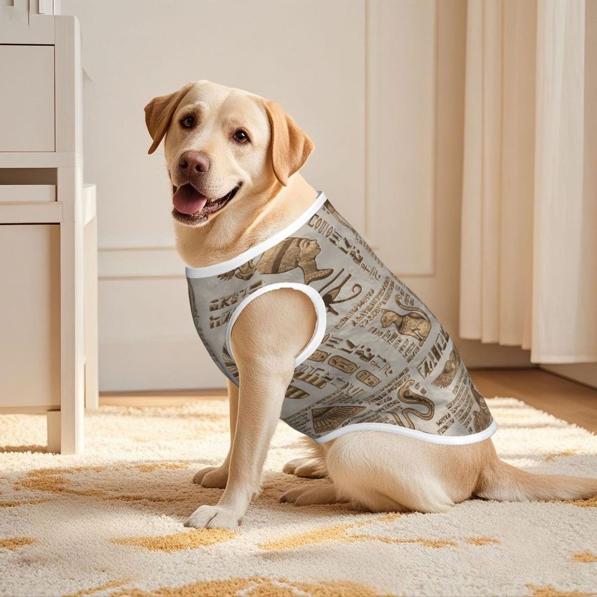 Egyptian Hieroglyphs And Deiti - Pet Supplies Egypt recensione e prezzo