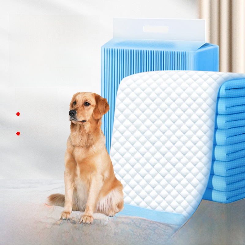 Thiened Pet Urinal Mat Dog Tra - Pet Supplies For Dogs recensione e prezzo