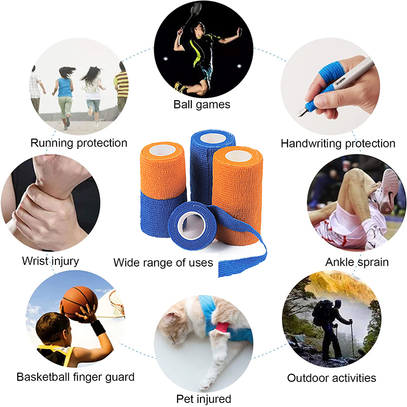 Pexmen 6Colors Self Adhesive B - Pet Supplies Vet recensione e prezzo