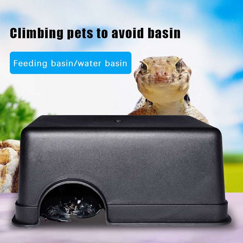 Reptile Shelter Turtle Lizard  - Pet Supplies Fish recensione e prezzo