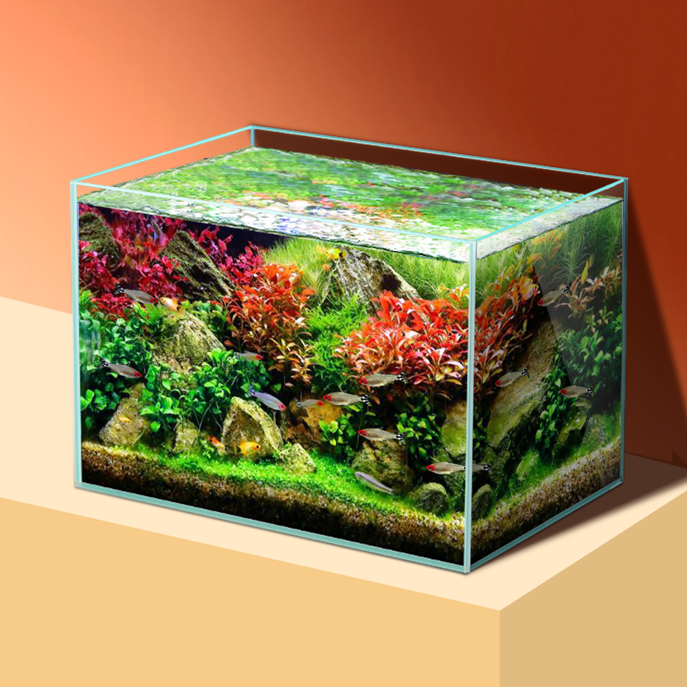 sttl Yee Pet Product Supplies  - Pet Supplies Fish recensione e prezzo