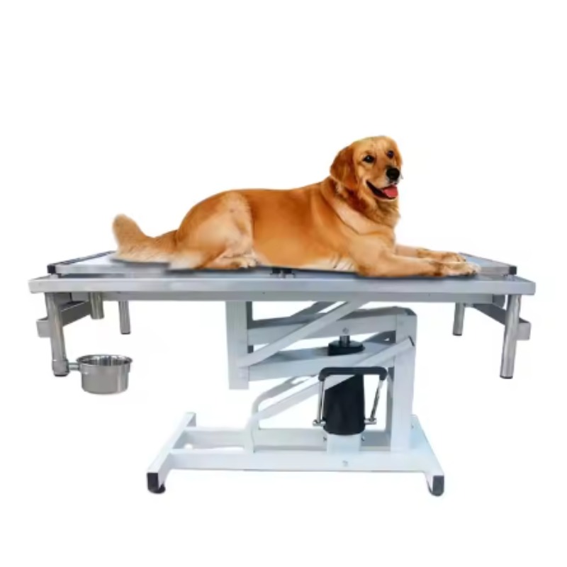 2026 Medical Veterinary Equipm - Pet Supplies Vet recensione e prezzo