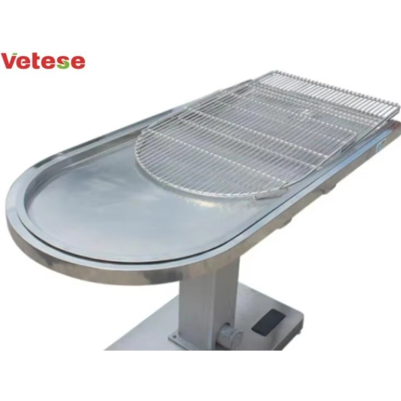 2026 Medical Veterinary Vet Pe - Pet Supplies Vet recensione e prezzo