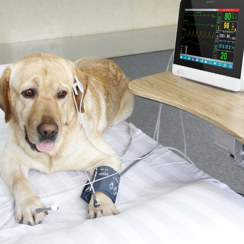Veterinary Pet Touch Screen Po - Pet Supplies Vet recensione e prezzo
