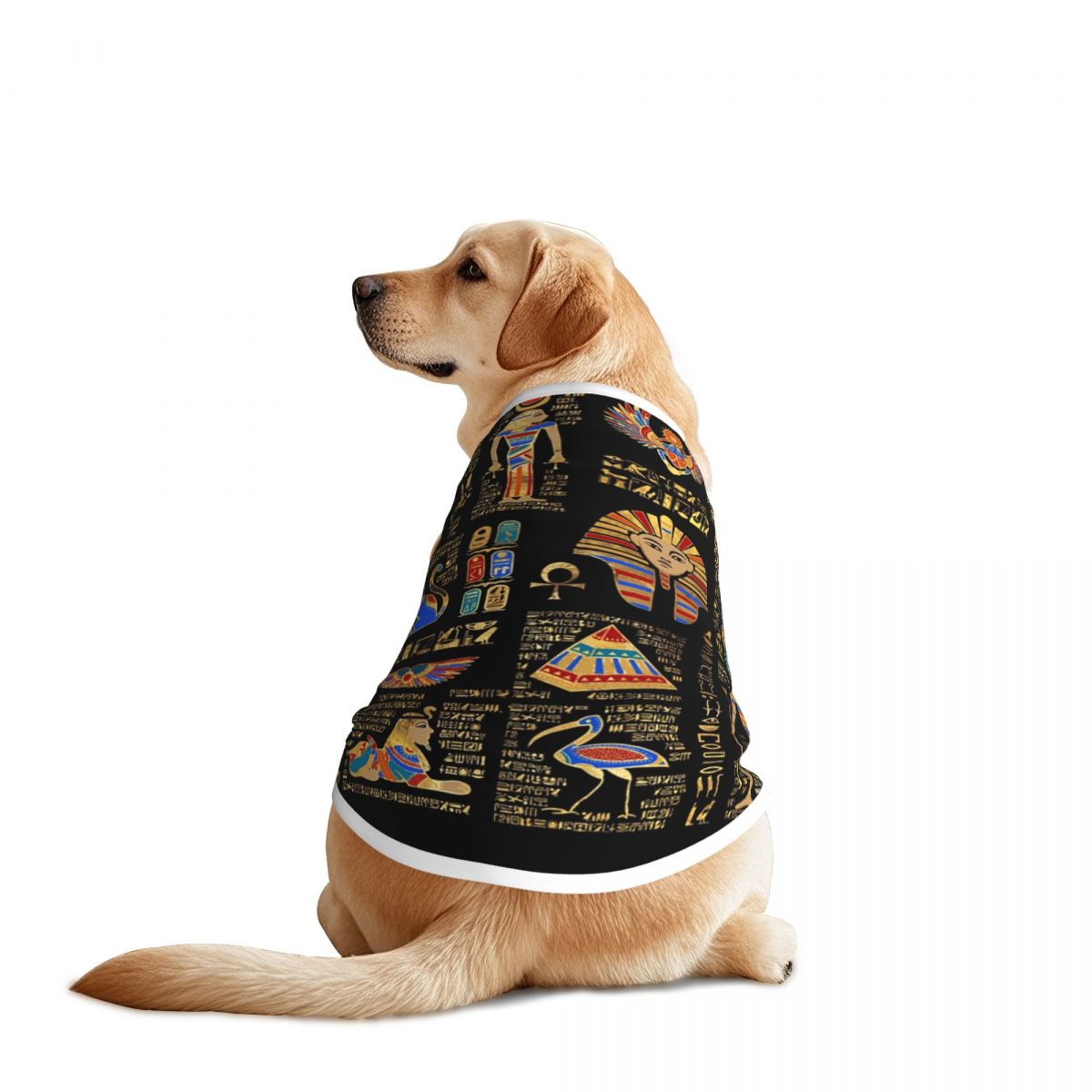 Egyptian Hieroglyphs And Deiti - Pet Supplies Egypt recensione e prezzo