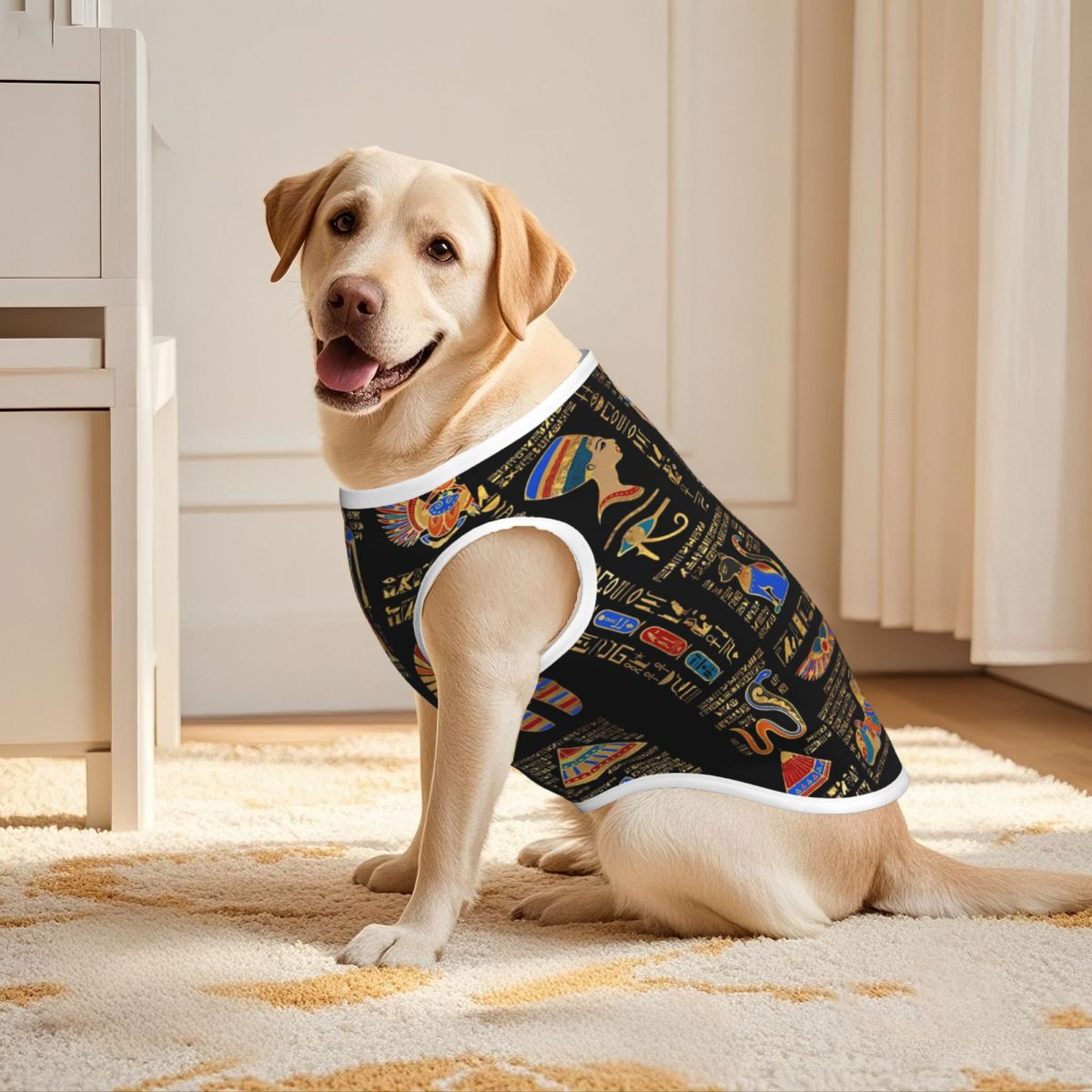 Egyptian Hieroglyphs And Deiti - Pet Supplies Egypt recensione e prezzo